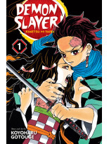 Demon Slayer, vol. 1